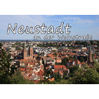 Neustadt Blick - Pfälzer Kühlschrankmagnet