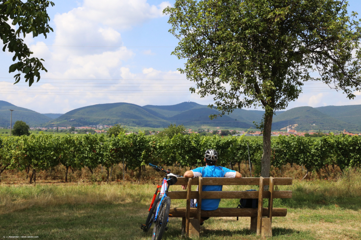 Pfalz Radtour - Blick auf die Haardt